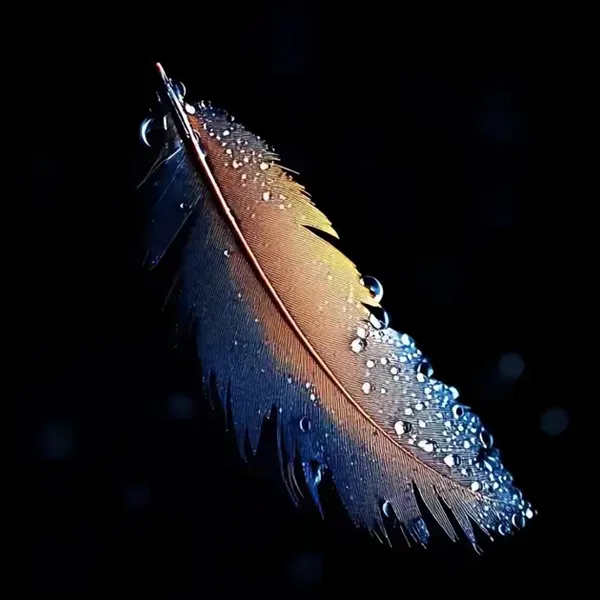 quillgem.com